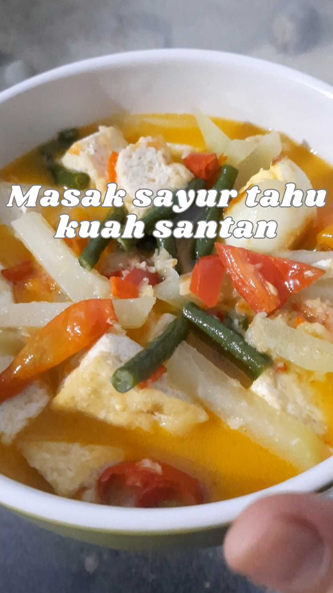 Sayur Tahu kuah santan
