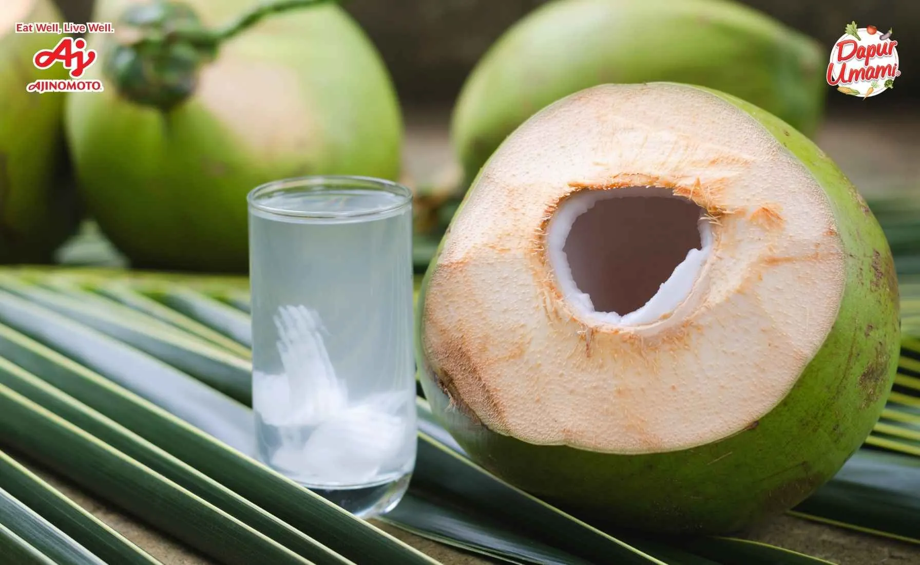 Manfaat Air Kelapa untuk Kesehatan dan Hidrasi Tubuh