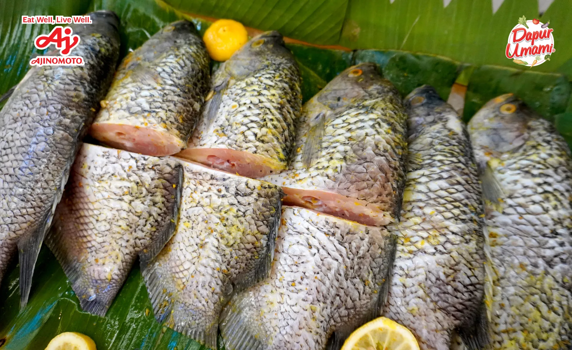 Manfaat Ikan Gurame dan Kandungan Gizinya