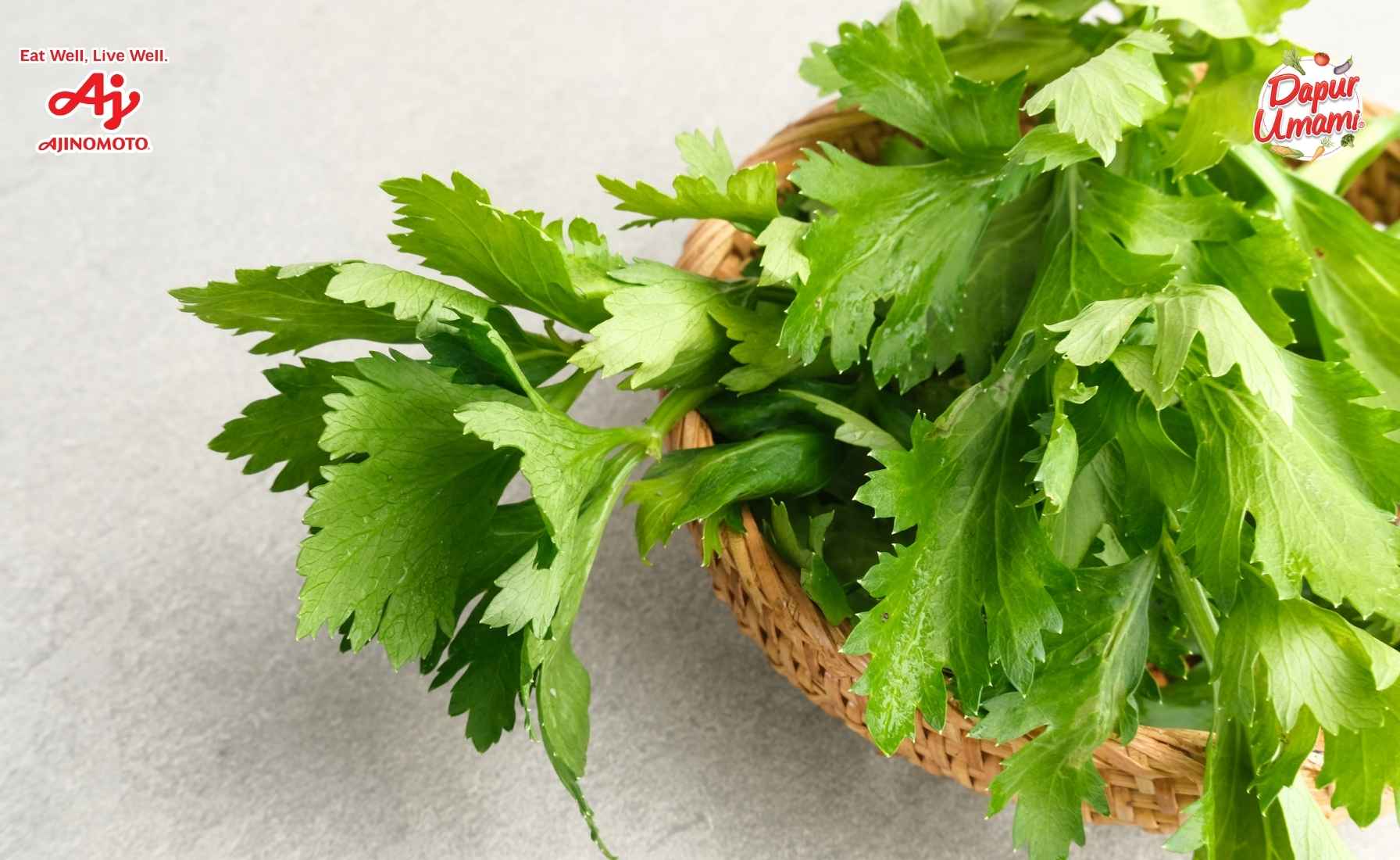 Manfaat Seledri untuk Kesehatan yang Wajib Kamu Tahu! - Dapur Umami