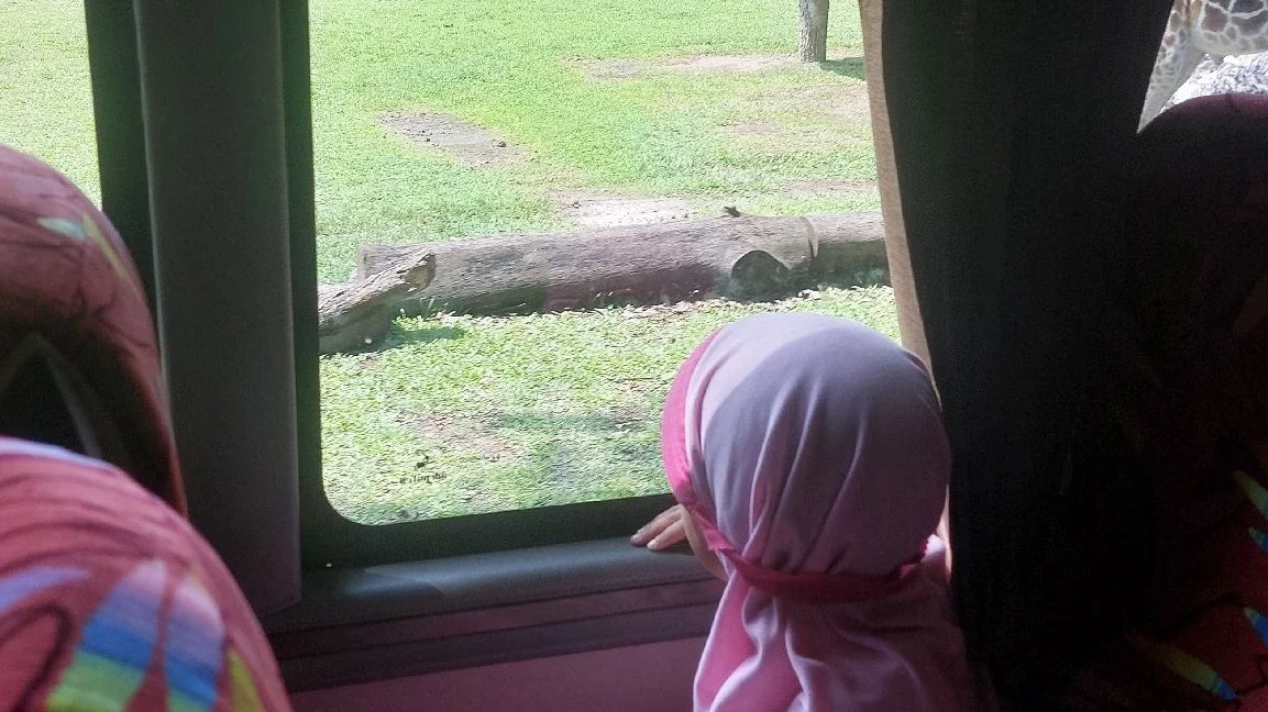 antusias ke taman safari prigen