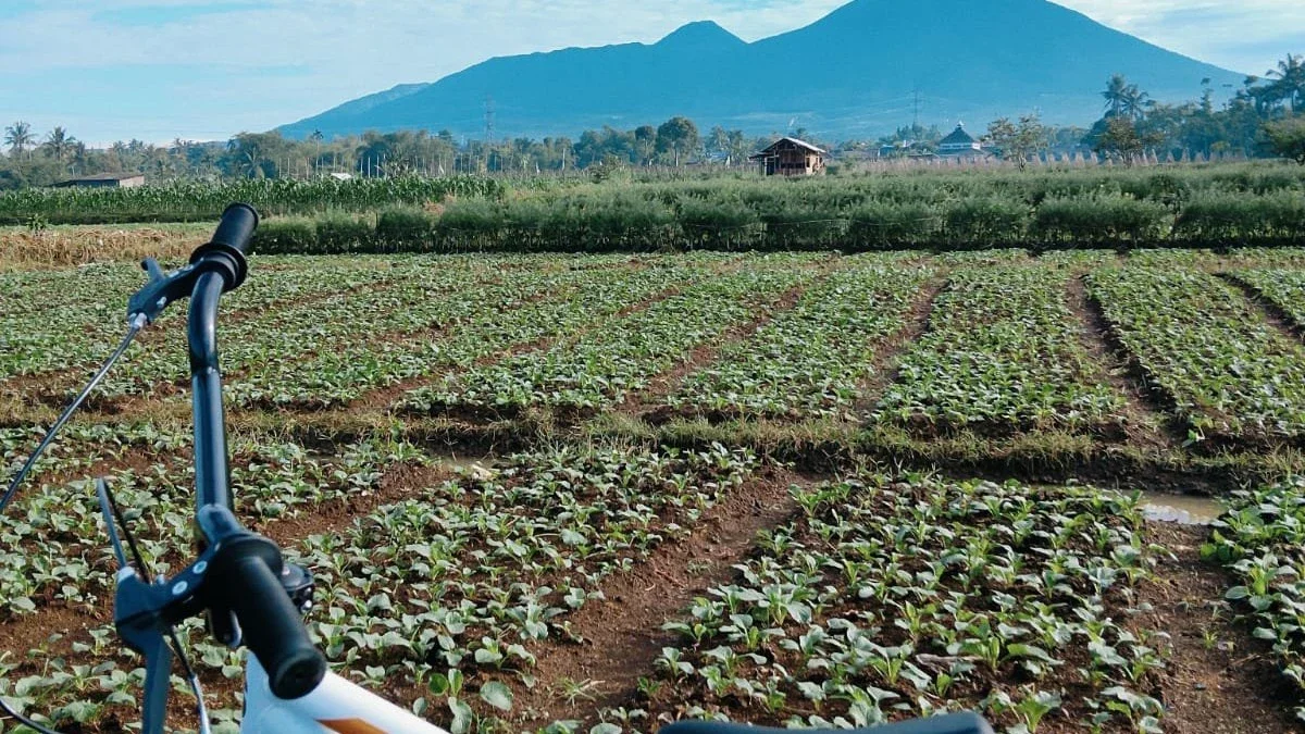 Bersepeda ,, Alternatif olahraga solo yang menyenangkan