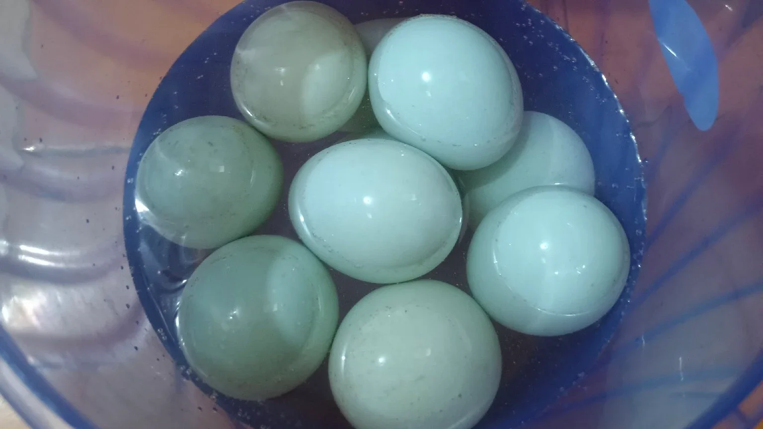 Bikin Telur Asin Bebek