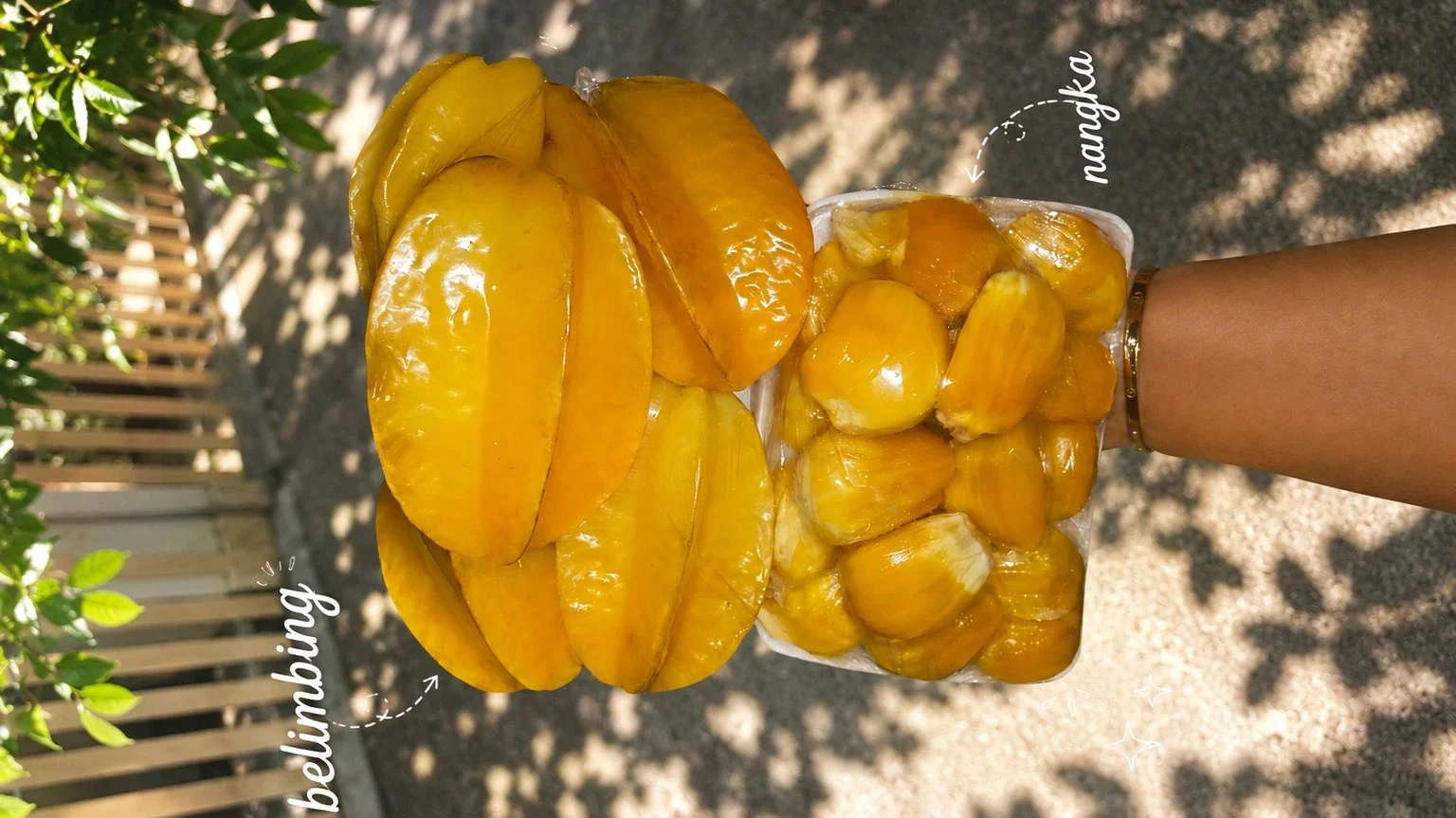 BUAH BELIMBING DAN BUAH NANGKA