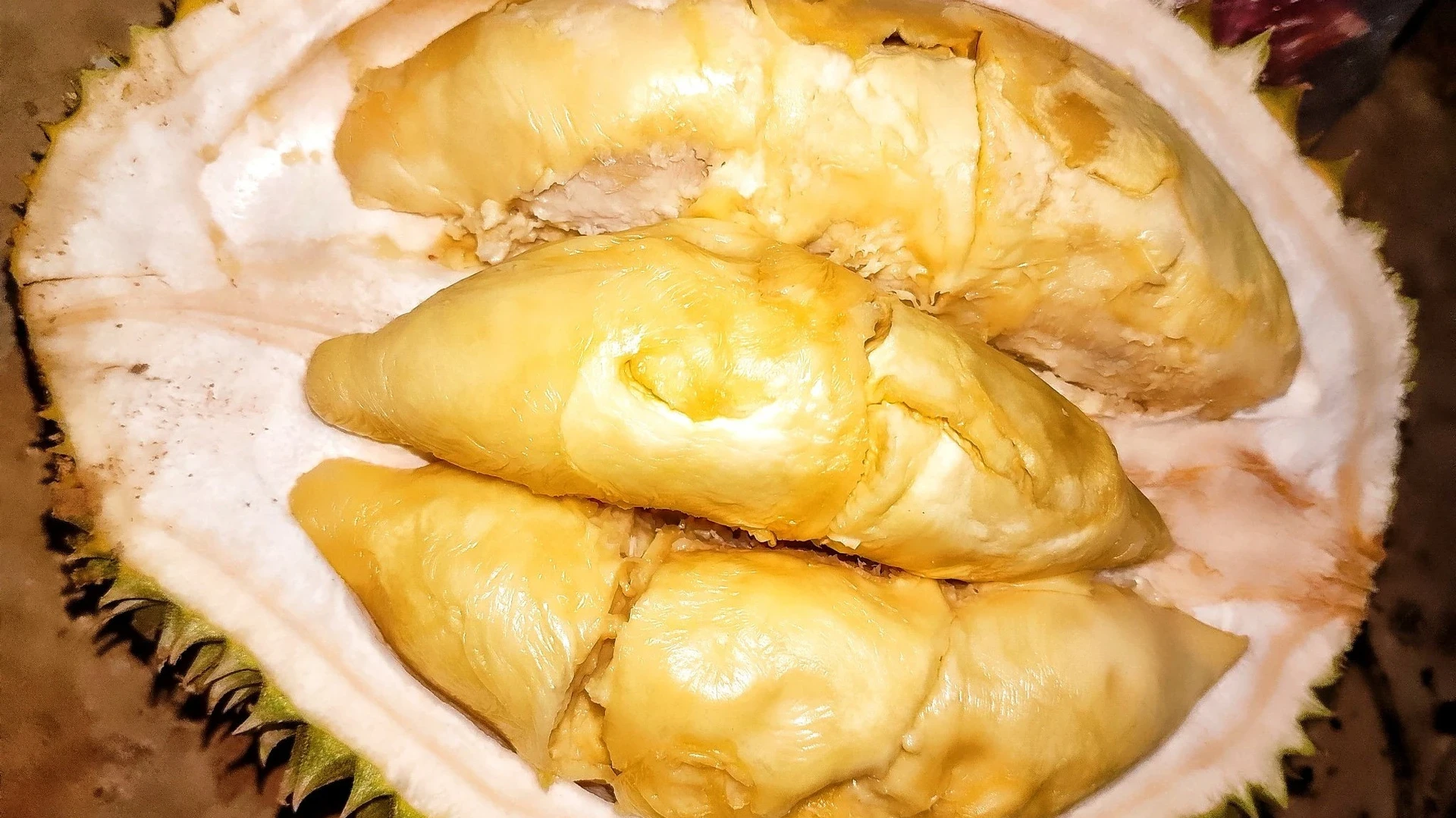 buah durian buah musiman