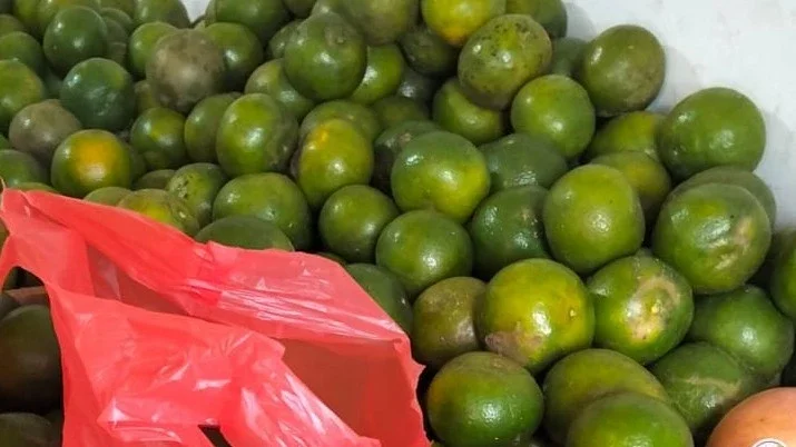 Buah jeruk kampung