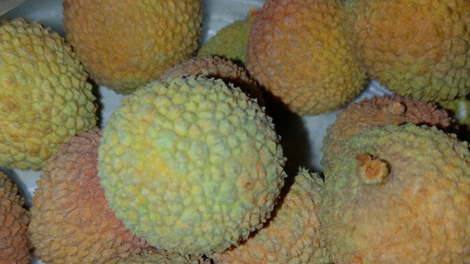 buah leci