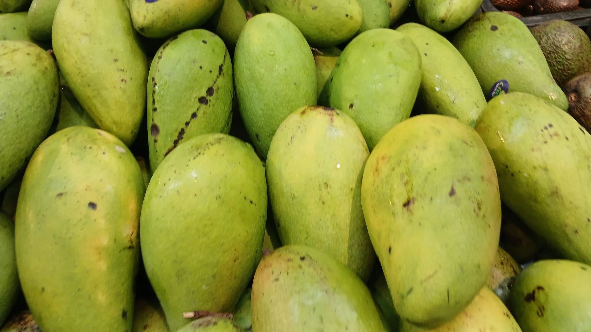 Buah Mangga