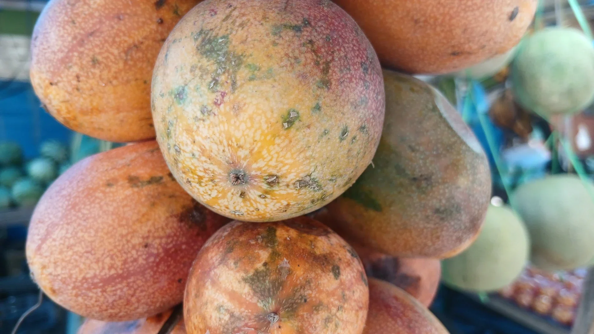 Buah Markisa
