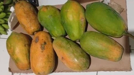 Buah Pepaya Kaya Manfaat