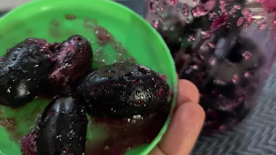 Buah Yang Sulit Didapat Sekarang ini, Duwet.