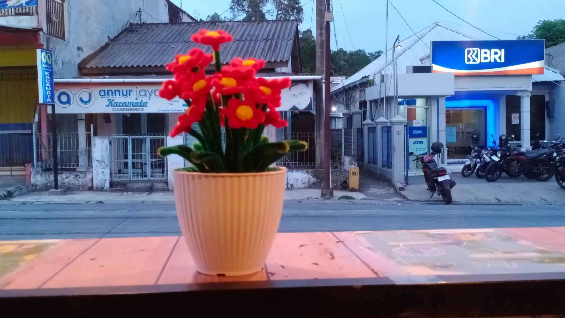 bunga yang lagi viral