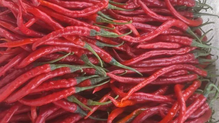 cabe merah