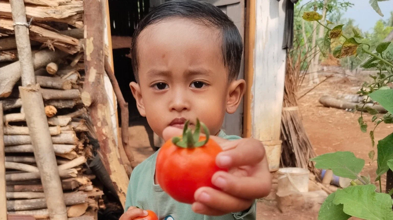 Cara #JagaJantungVersiku Dengan Mengonsumsi Buah Tomat🍅