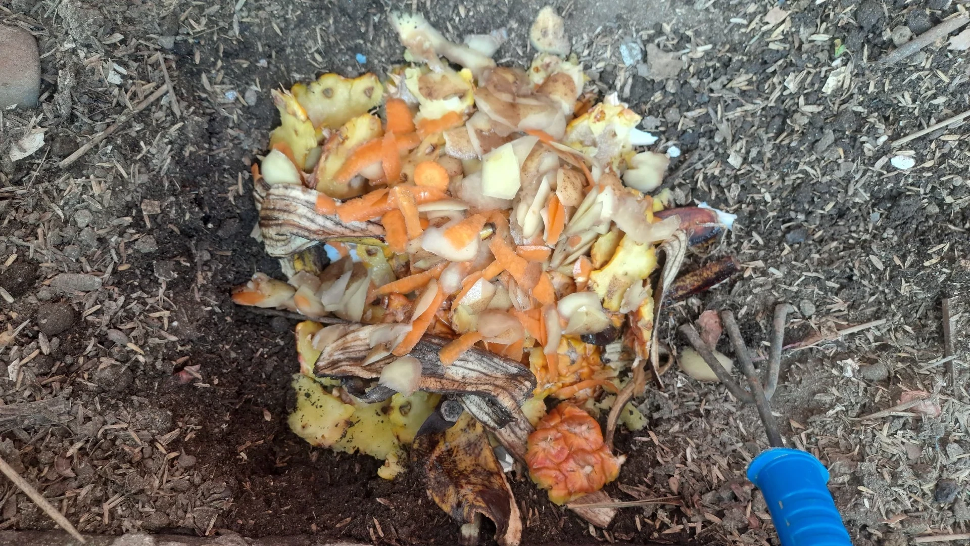 Cara Mudah Mengompos Limbah Dapur
