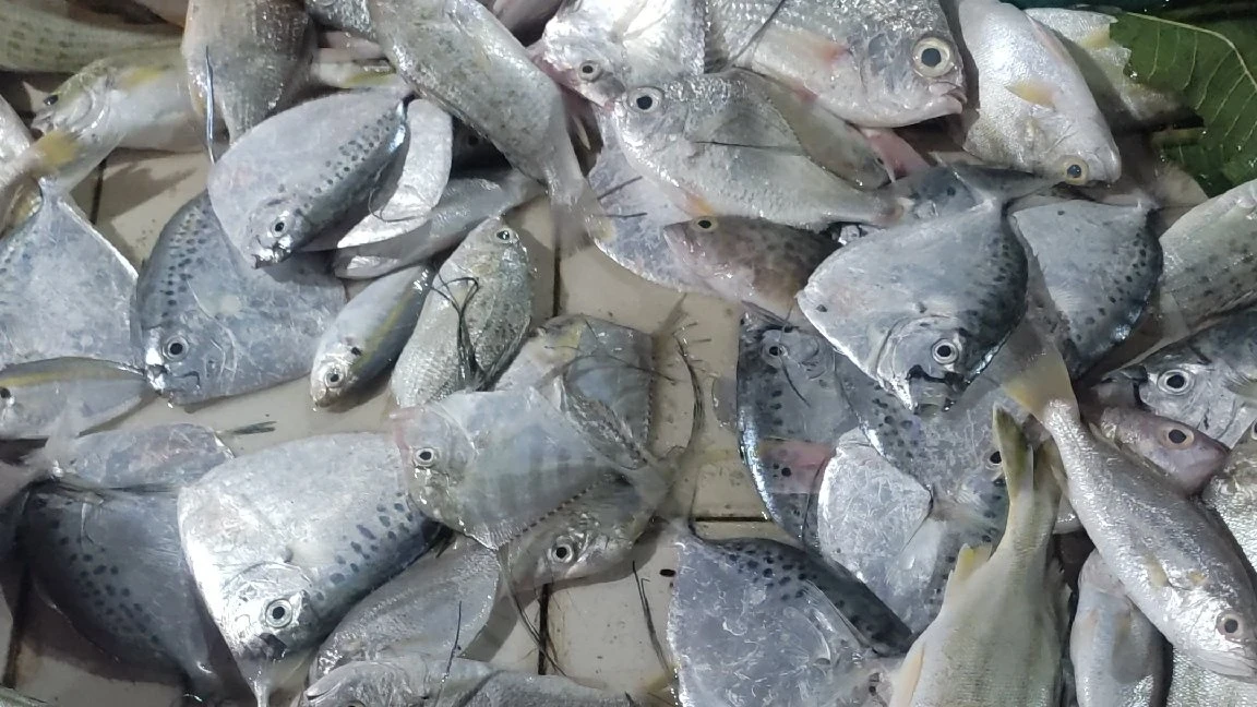 #CeritaInspiratif Ikan yang kubeli bukan rejekiku