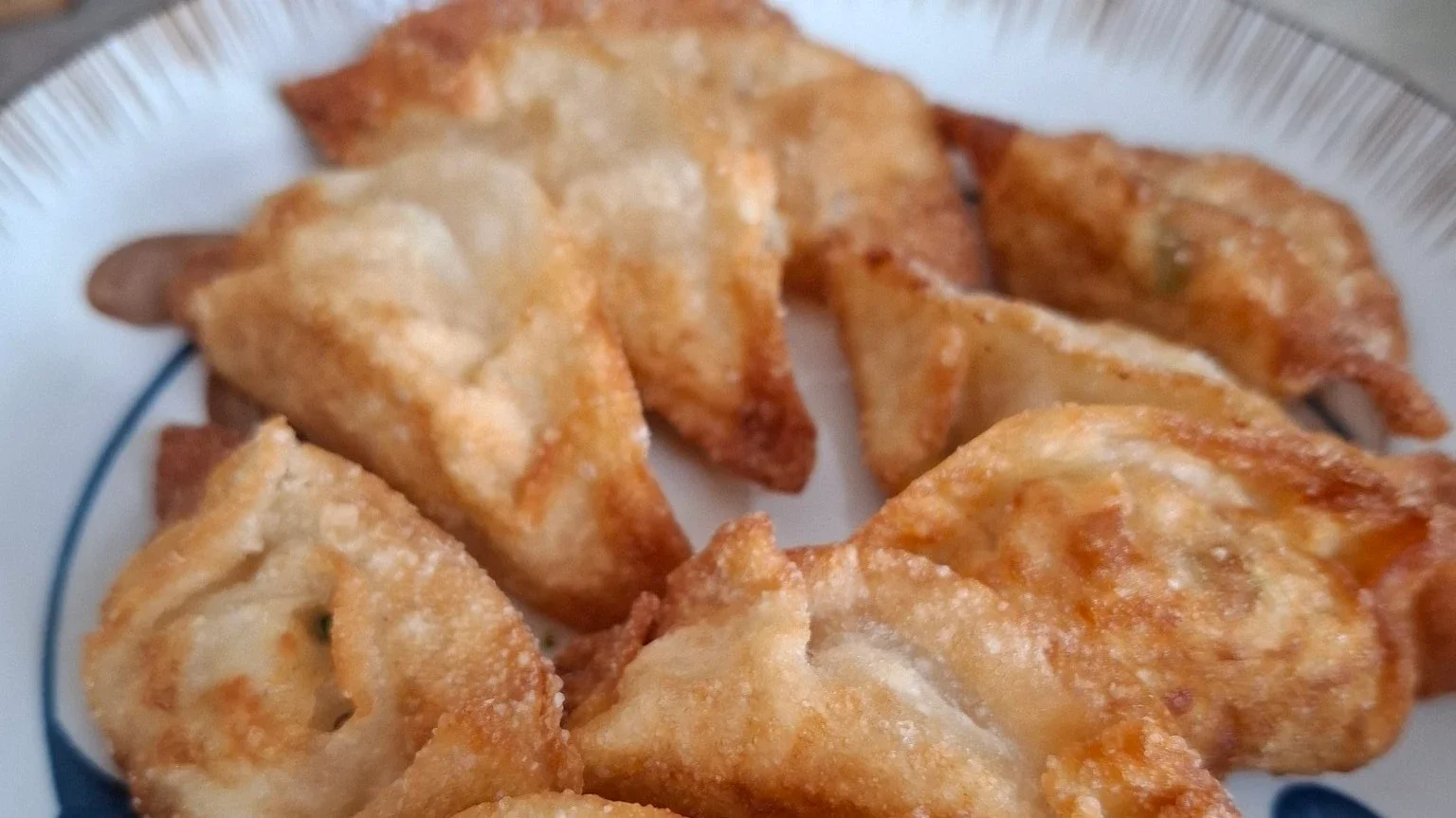 Fried Gyoza