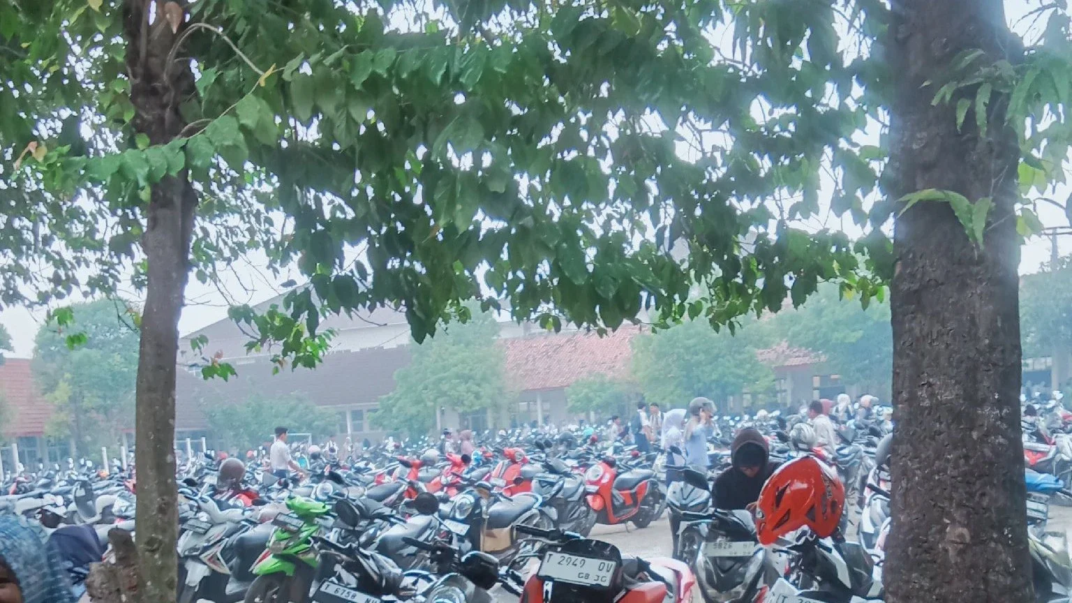 gerimis tetap ngambil rapot