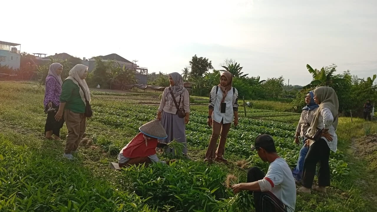 Healing Kekebun Sayur