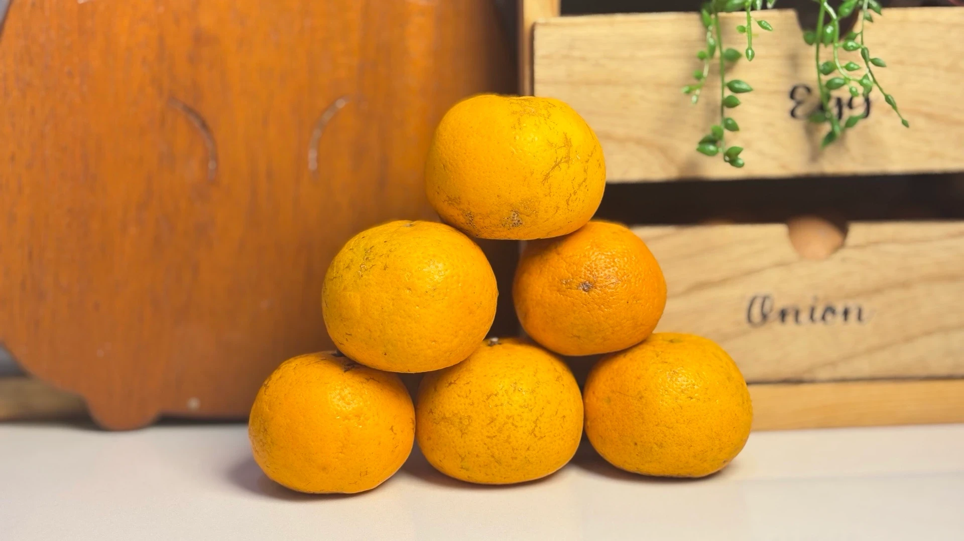 #HidupLebihBaik dengan mengkonsumsi jeruk 🍊