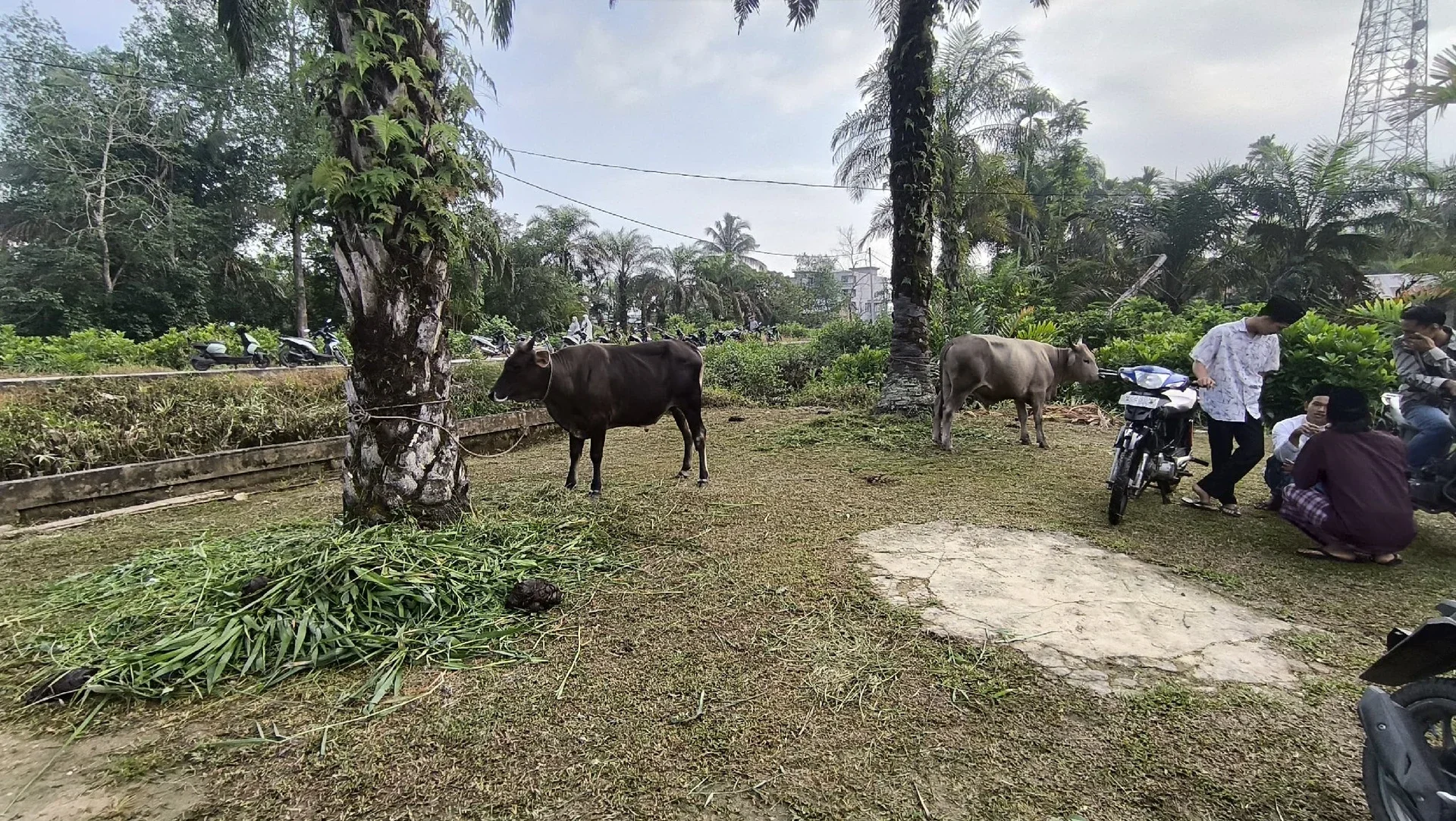 Idul Adha Dan Semangat Berqurban #MaknaIduladha