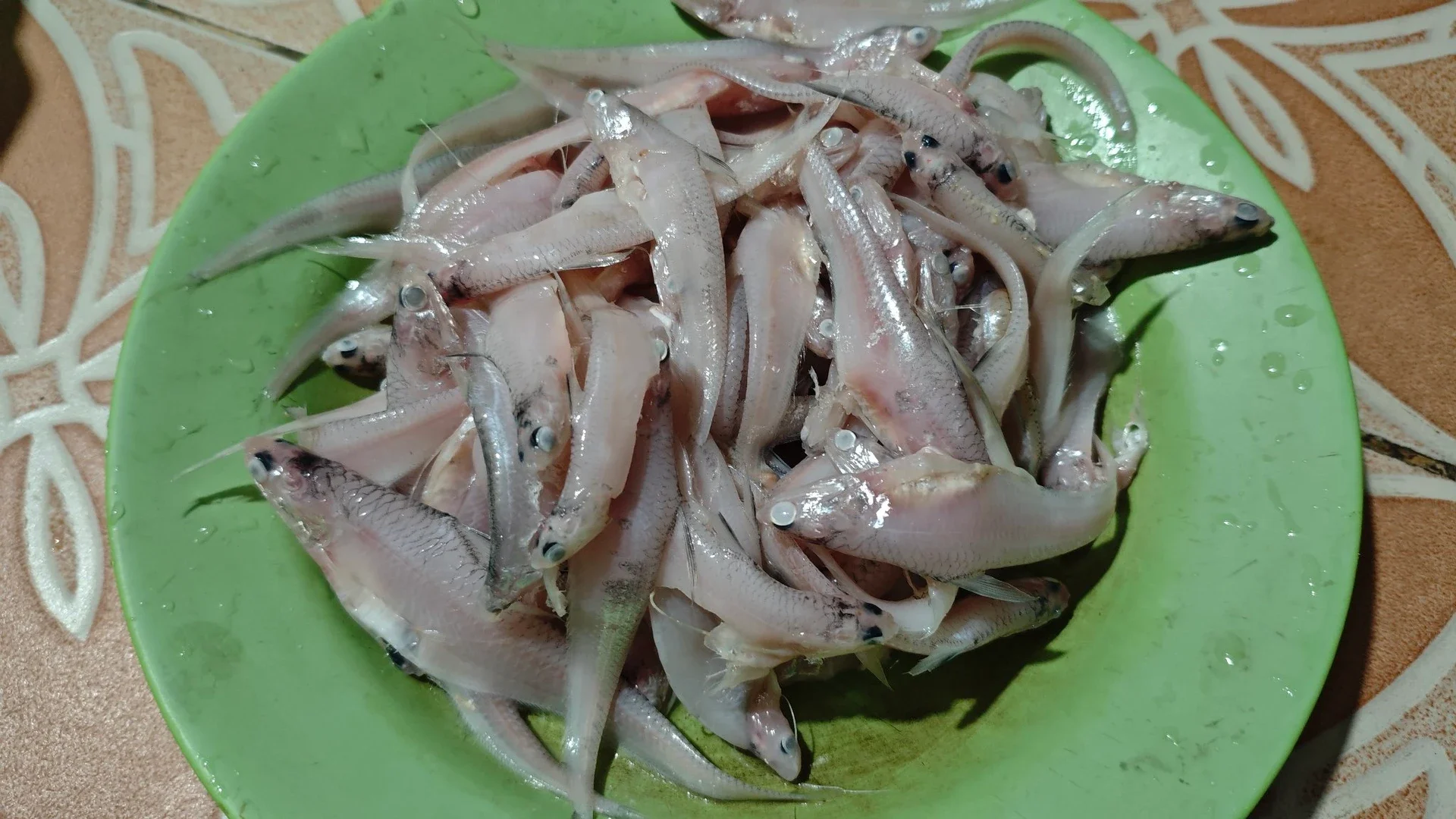 Ikan Bulu Ayam Basah