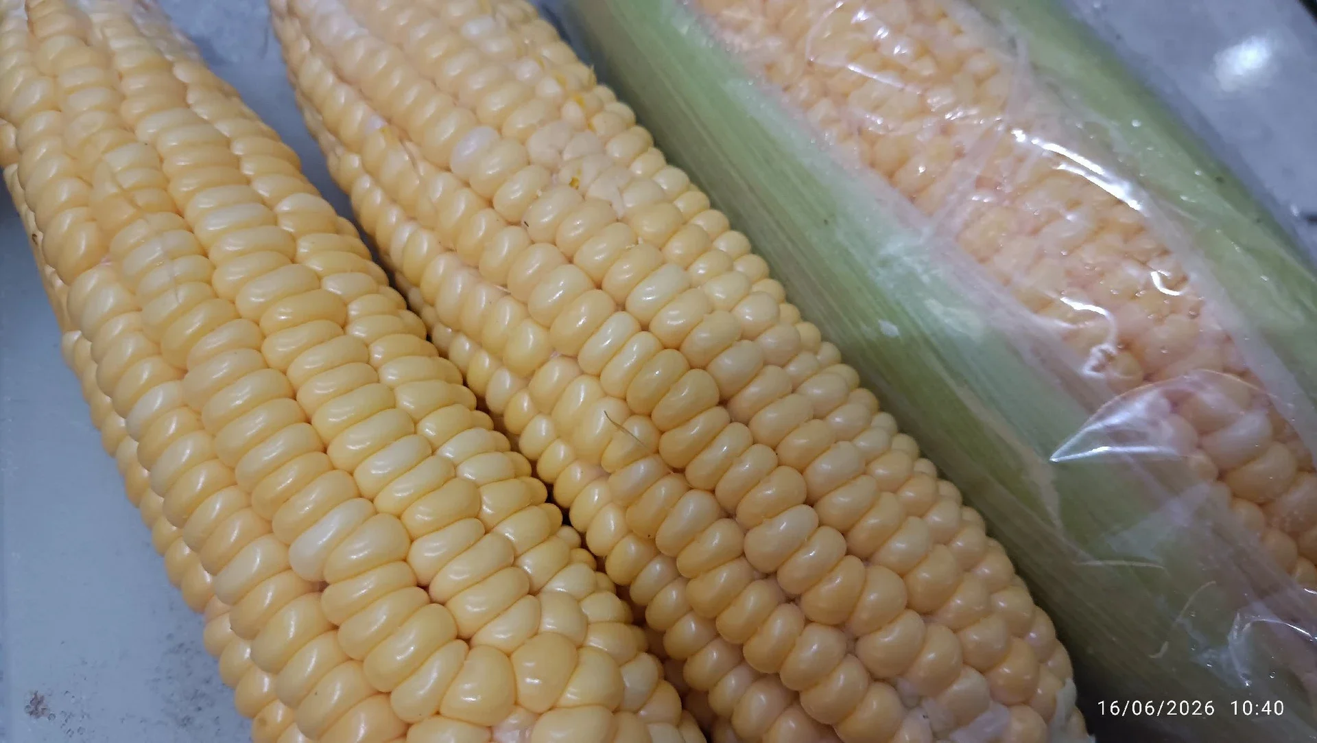 Jagung