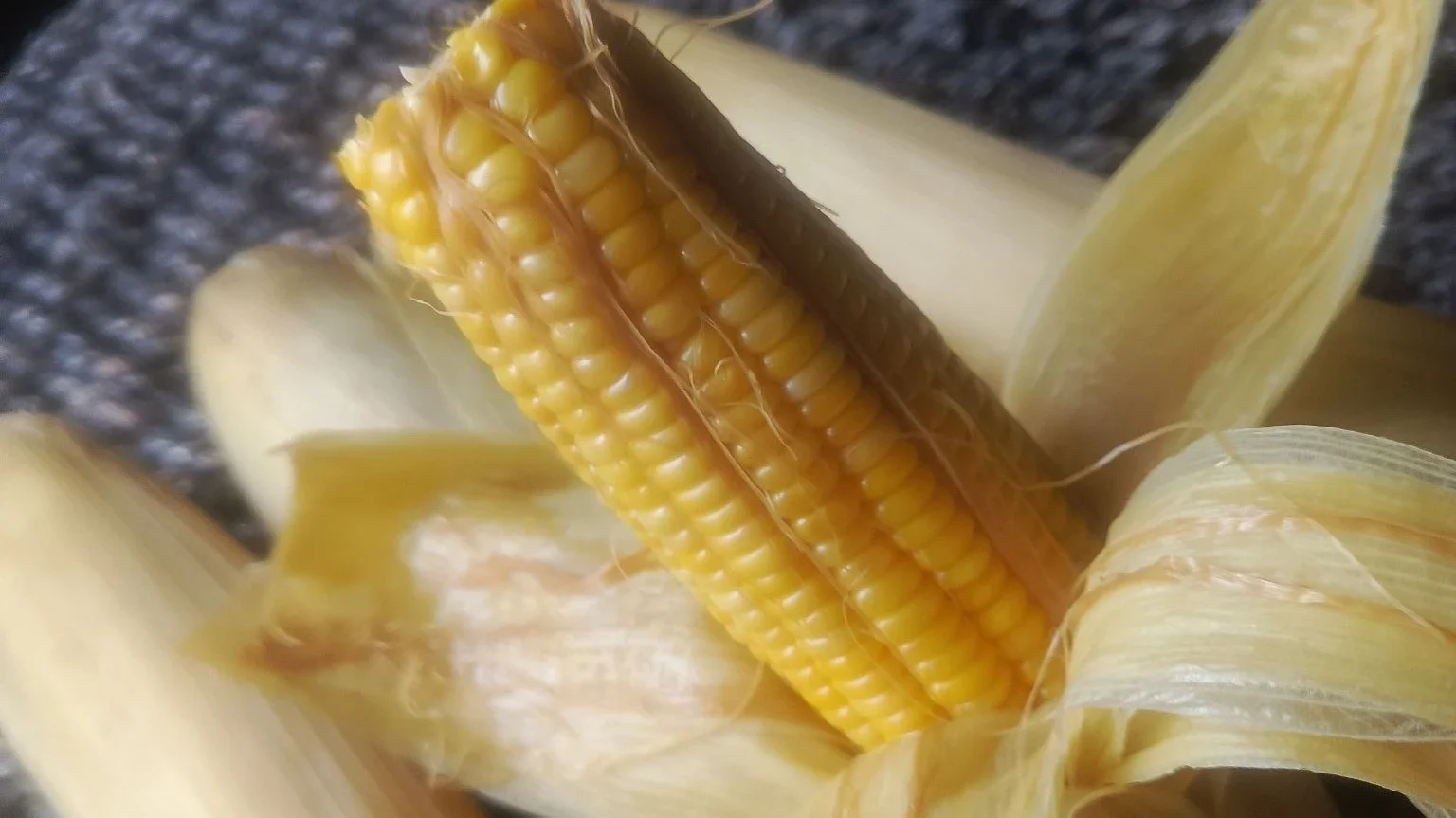 jagung rebus bergizi #JagaJantungVersiku