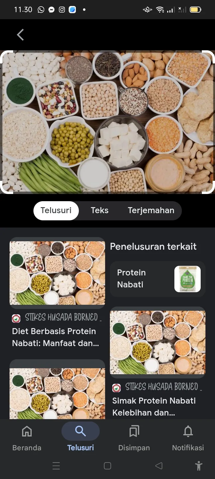 Apa saja protein nabati