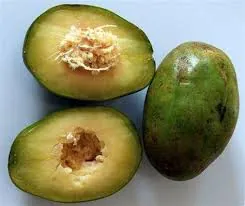 Apakah buah kedondong manis?