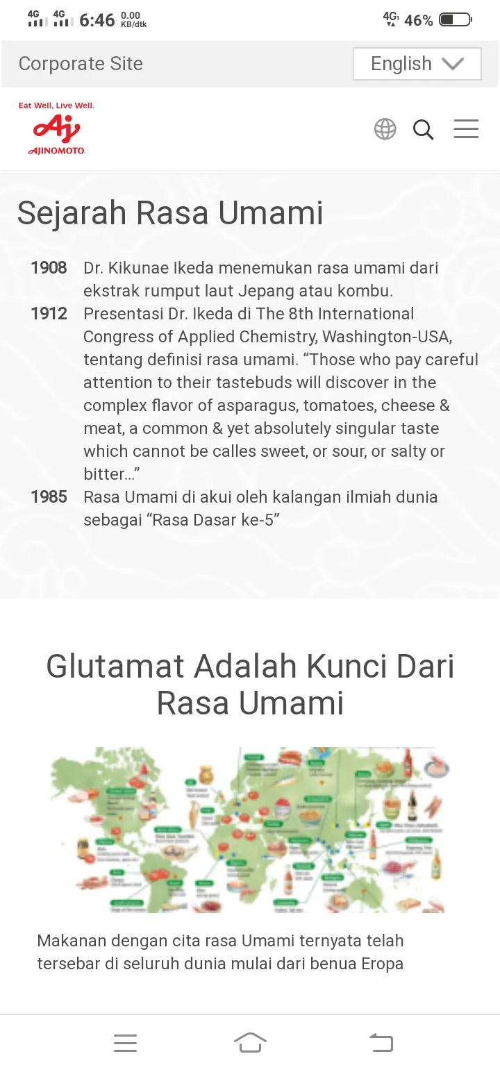 Arti UMAMI