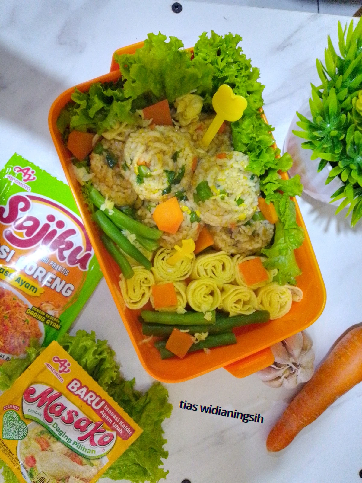 Bekal sehat untuk anak