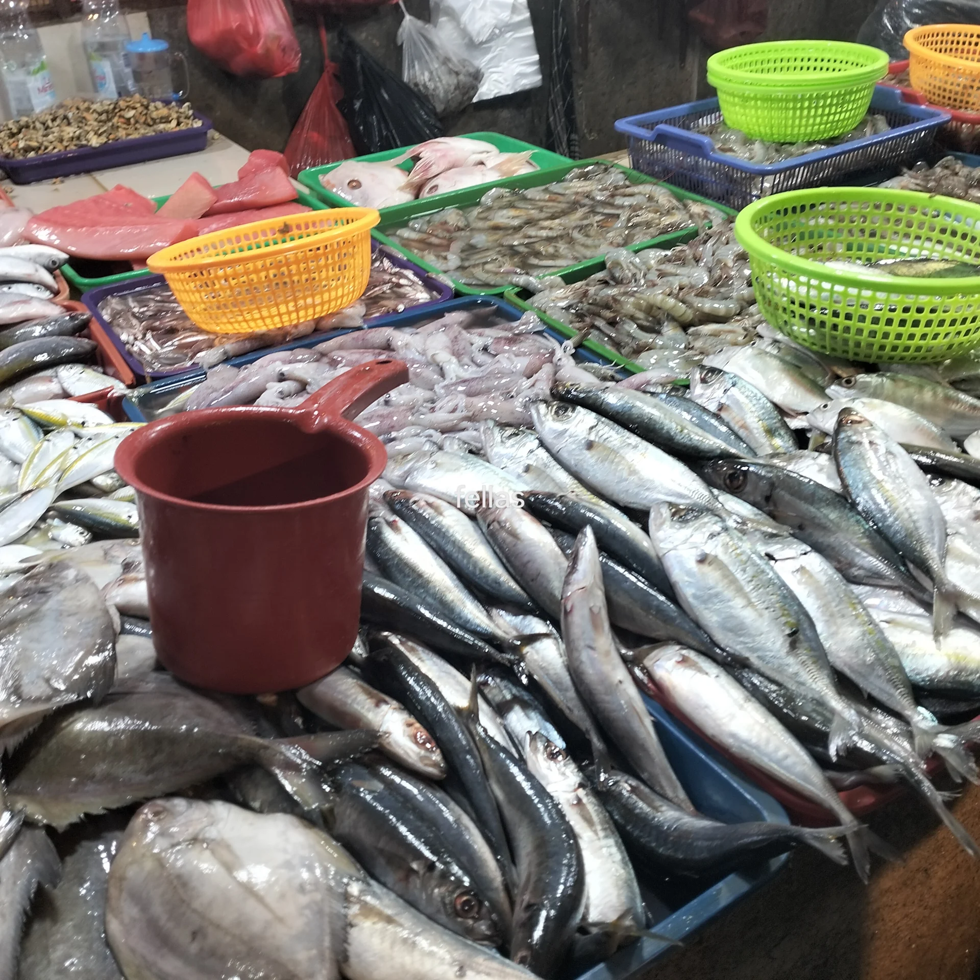 Belanja Ke Pasar (#KegiatanFavorit)