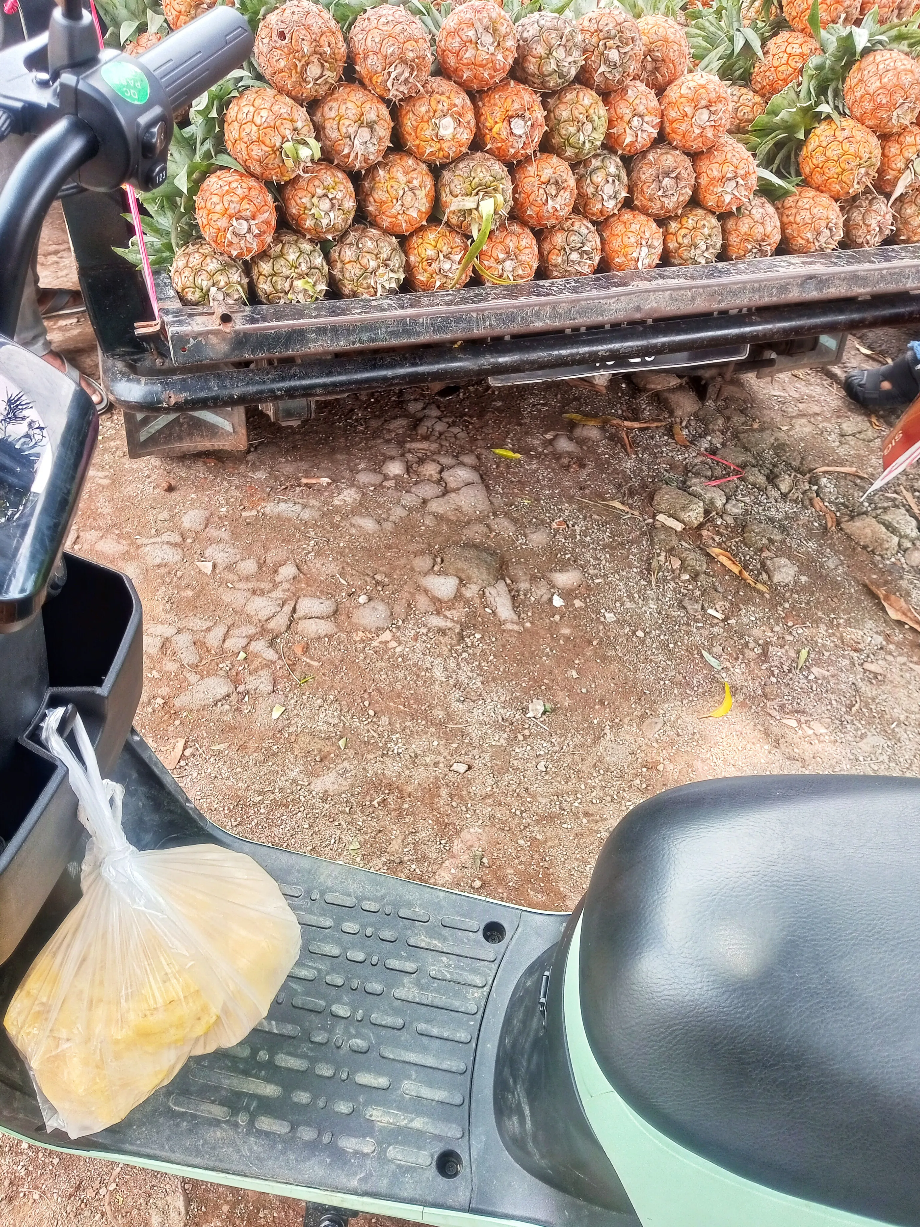 Berburu nanas untuk selai nastar #JurnalRamadan