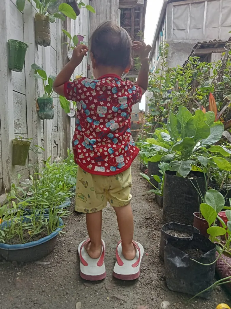 Berkebun