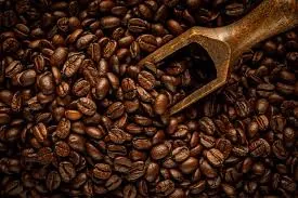Biji Kopi