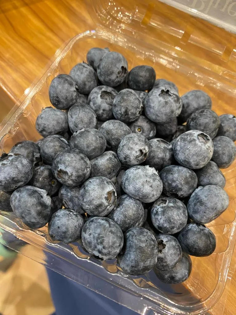 Blueberry, Si Kecil yang Kaya Manfaat