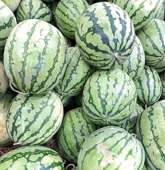 Buah favorit