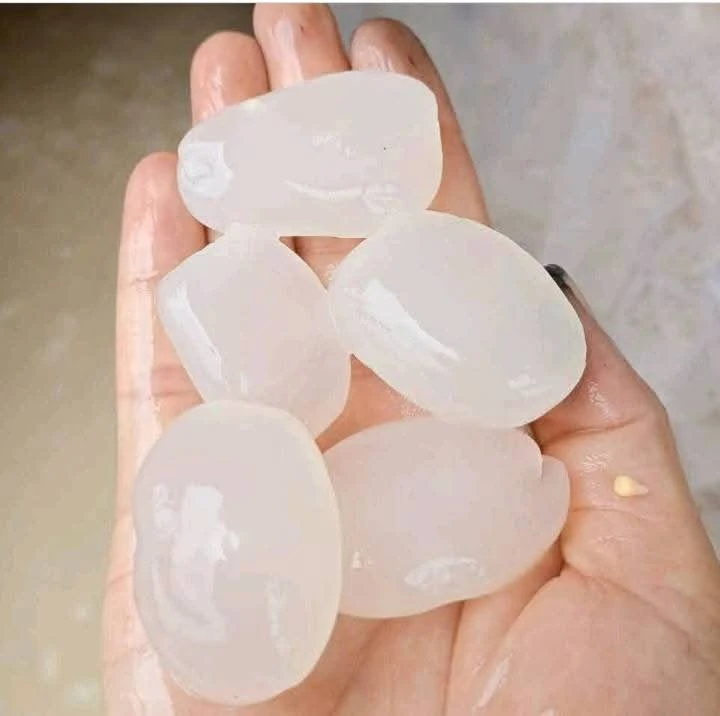 Buah kolang kaling