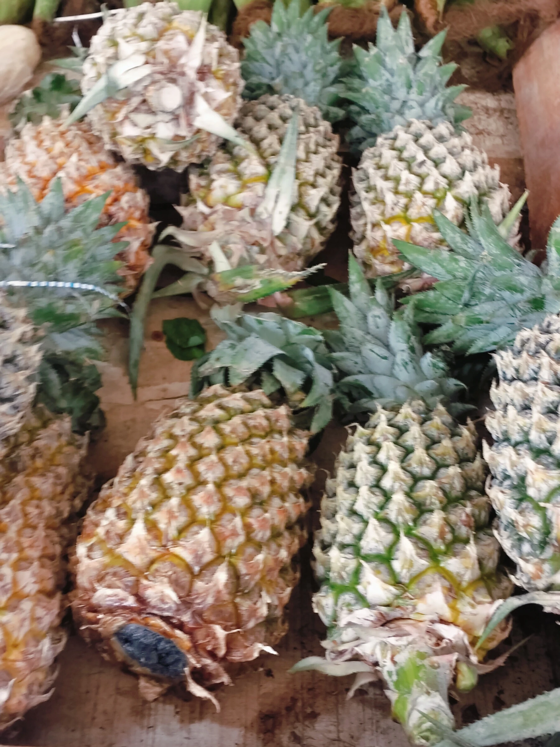 Buah nanas untuk masakan