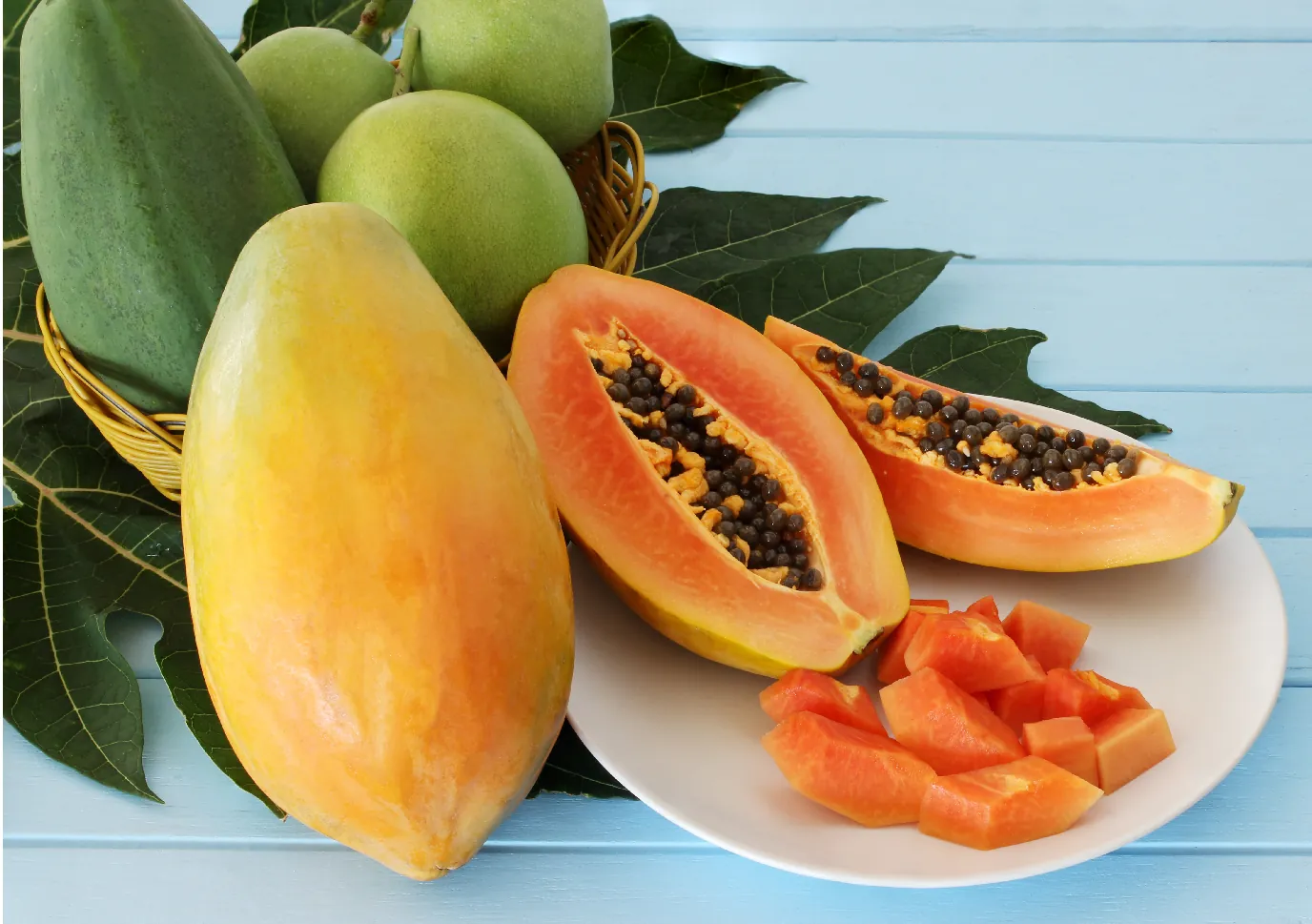 Buah Pepaya Yang Kaya Akan Manfaat