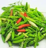 Cabai rawit