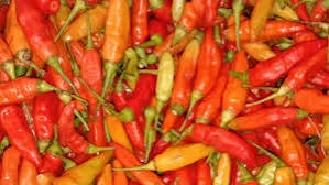 Cabe