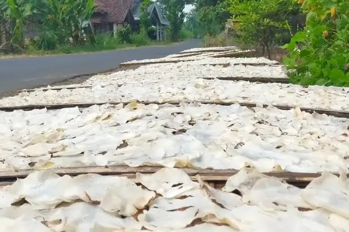 Cara memasak keripik gadung yang benar