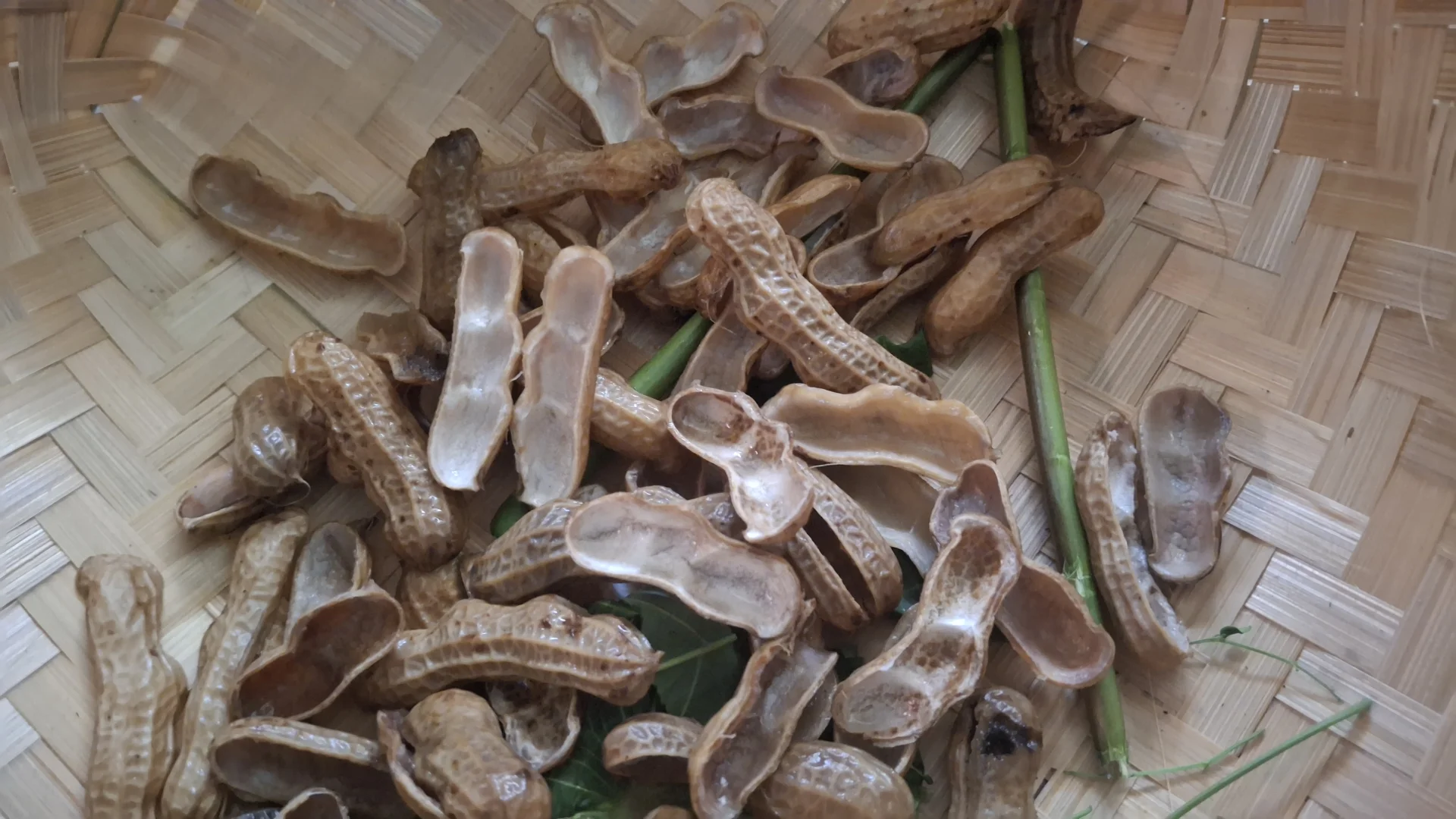 Cara olah kulit kacang