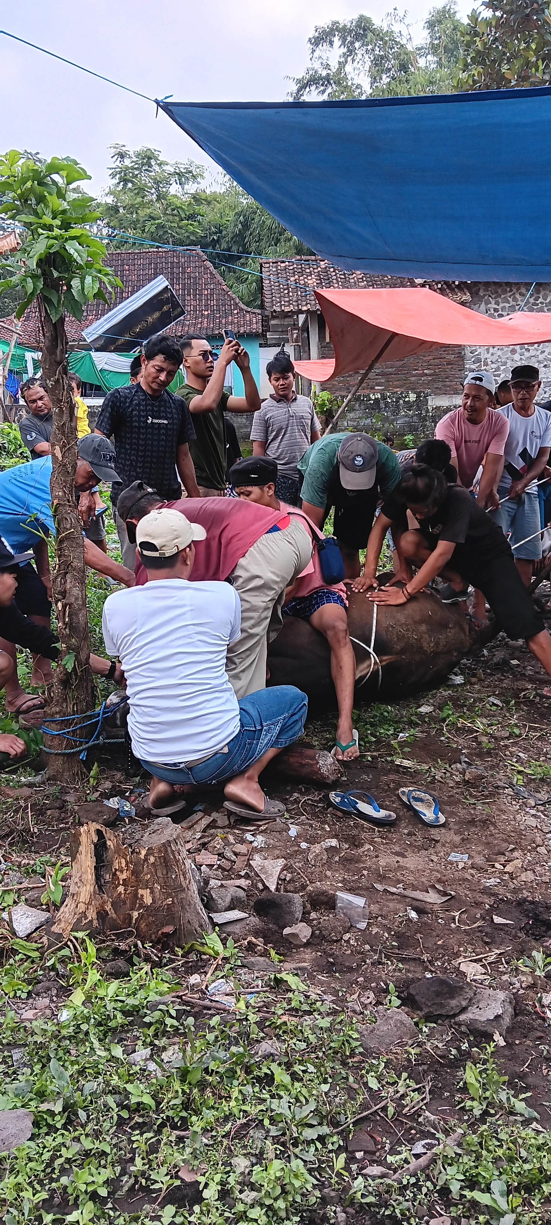 #CeritaIdulAdha berkurban bersama