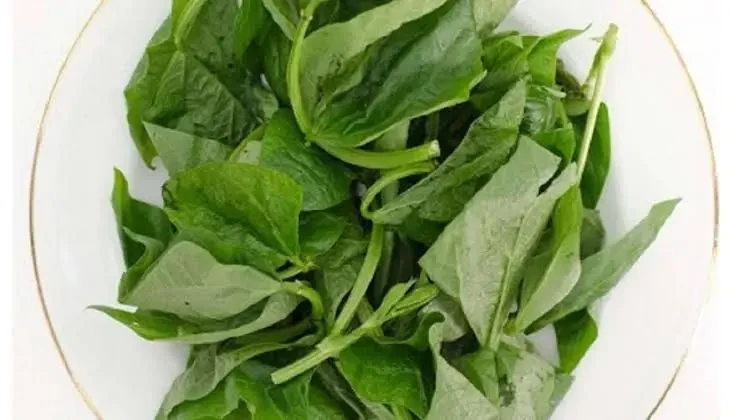 Daun kacang /  sayur lembayung