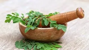 Daun kelor