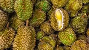 Durian