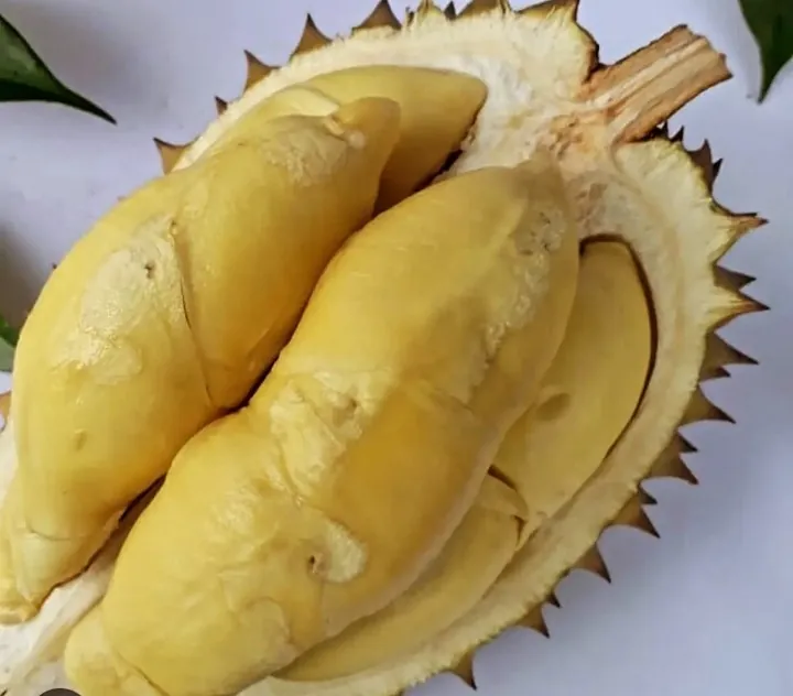 Durian
